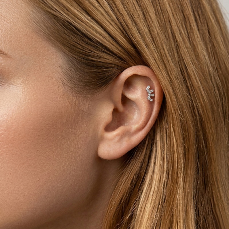 1 Pcs ASTM Titanium Helix Pier - Helix Cartilage Ring recension och pris