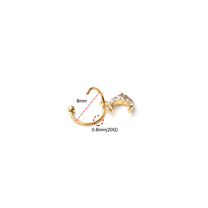 1Pc Universal ring Hoop earrin - Body Jewelry Universe recension och pris